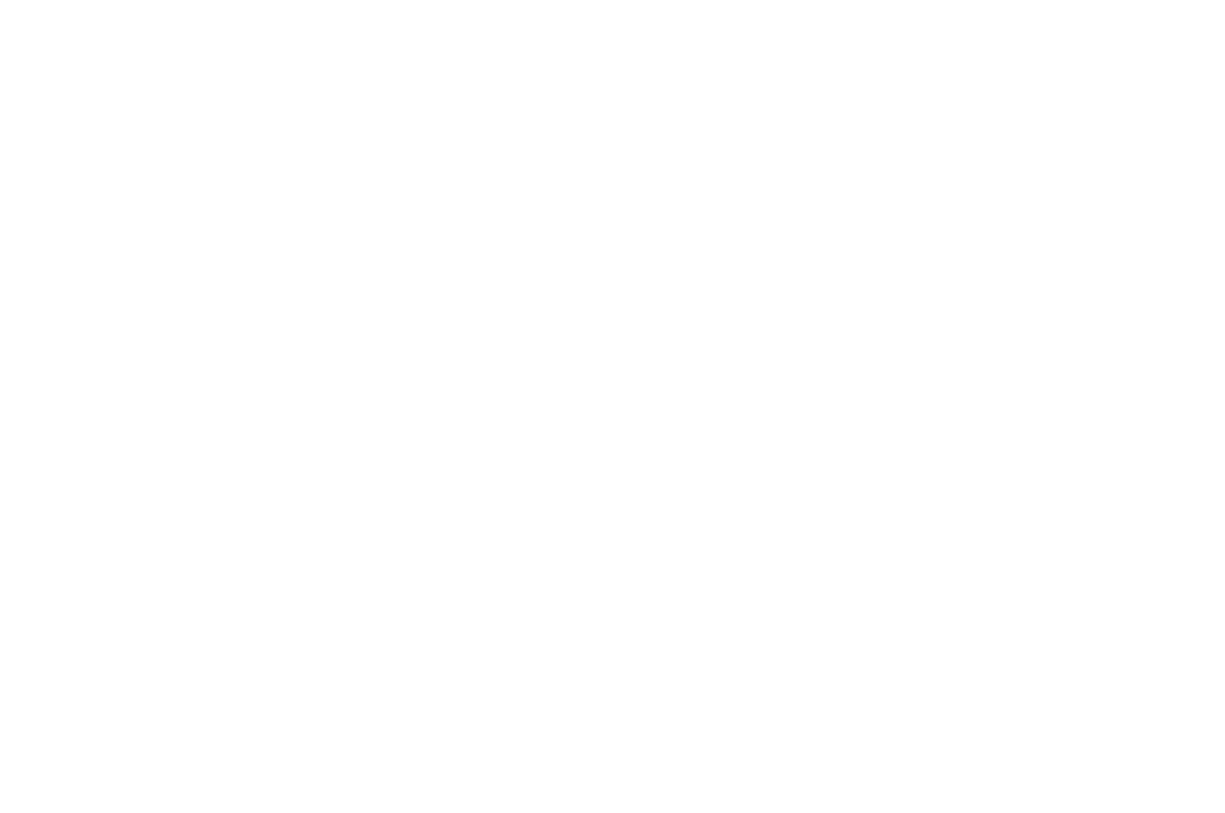 Official Selection — CEFF Tallahassee 2020